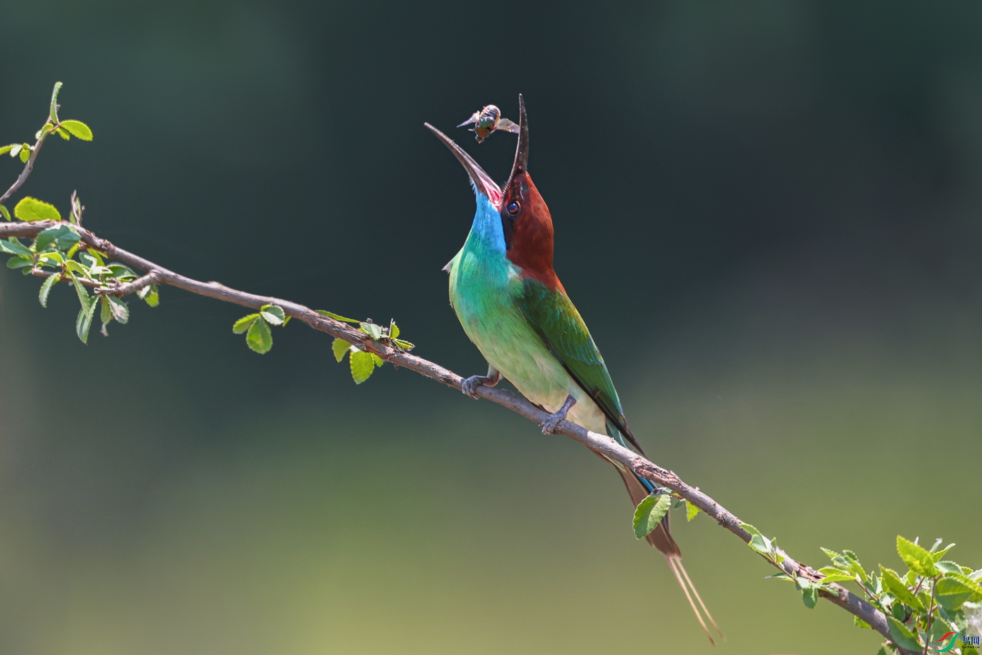 ����083A5022.jpg