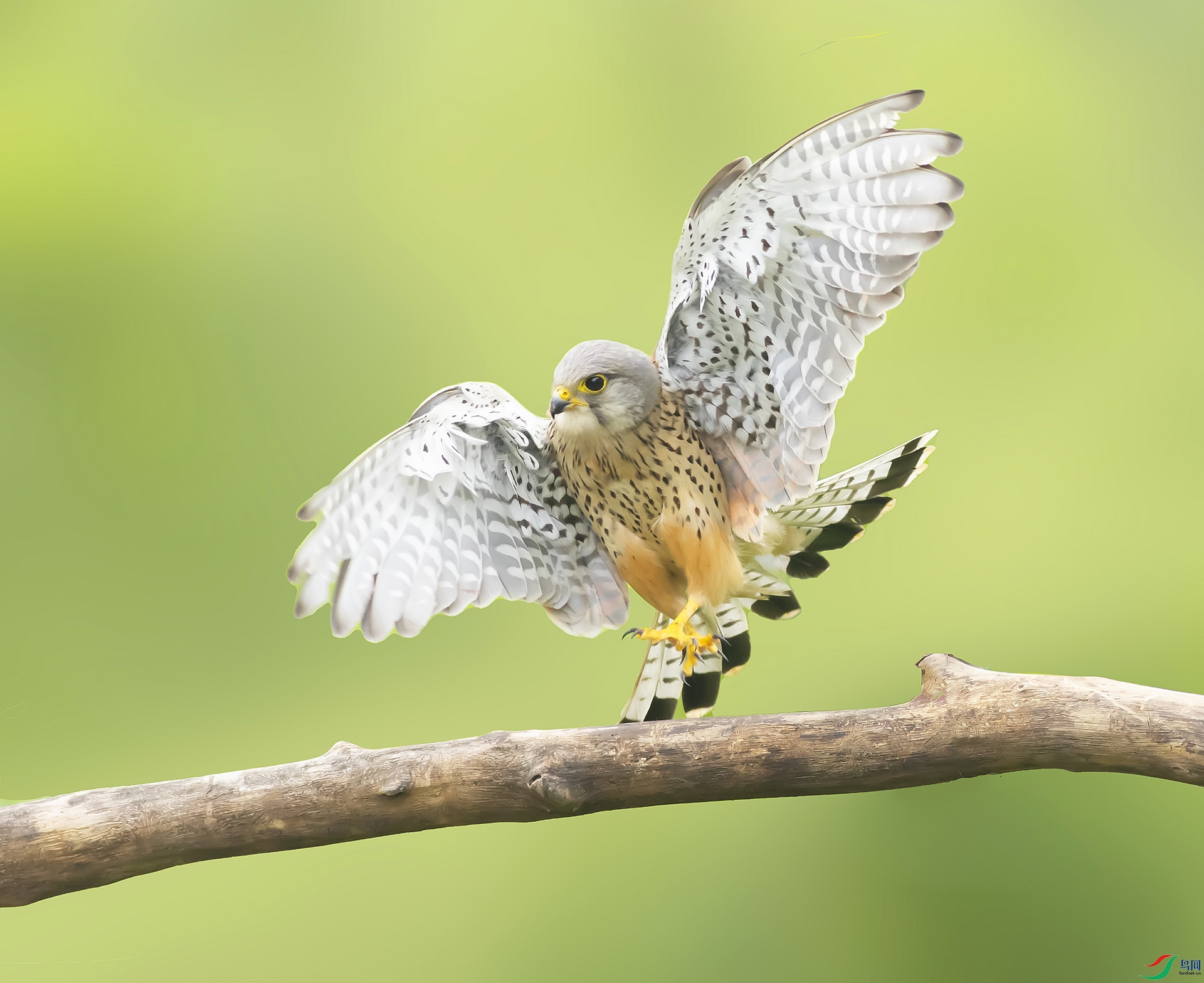 019A989799 ����.jpg