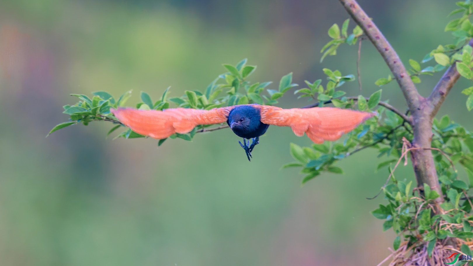��ƬDSC_7503.jpg
