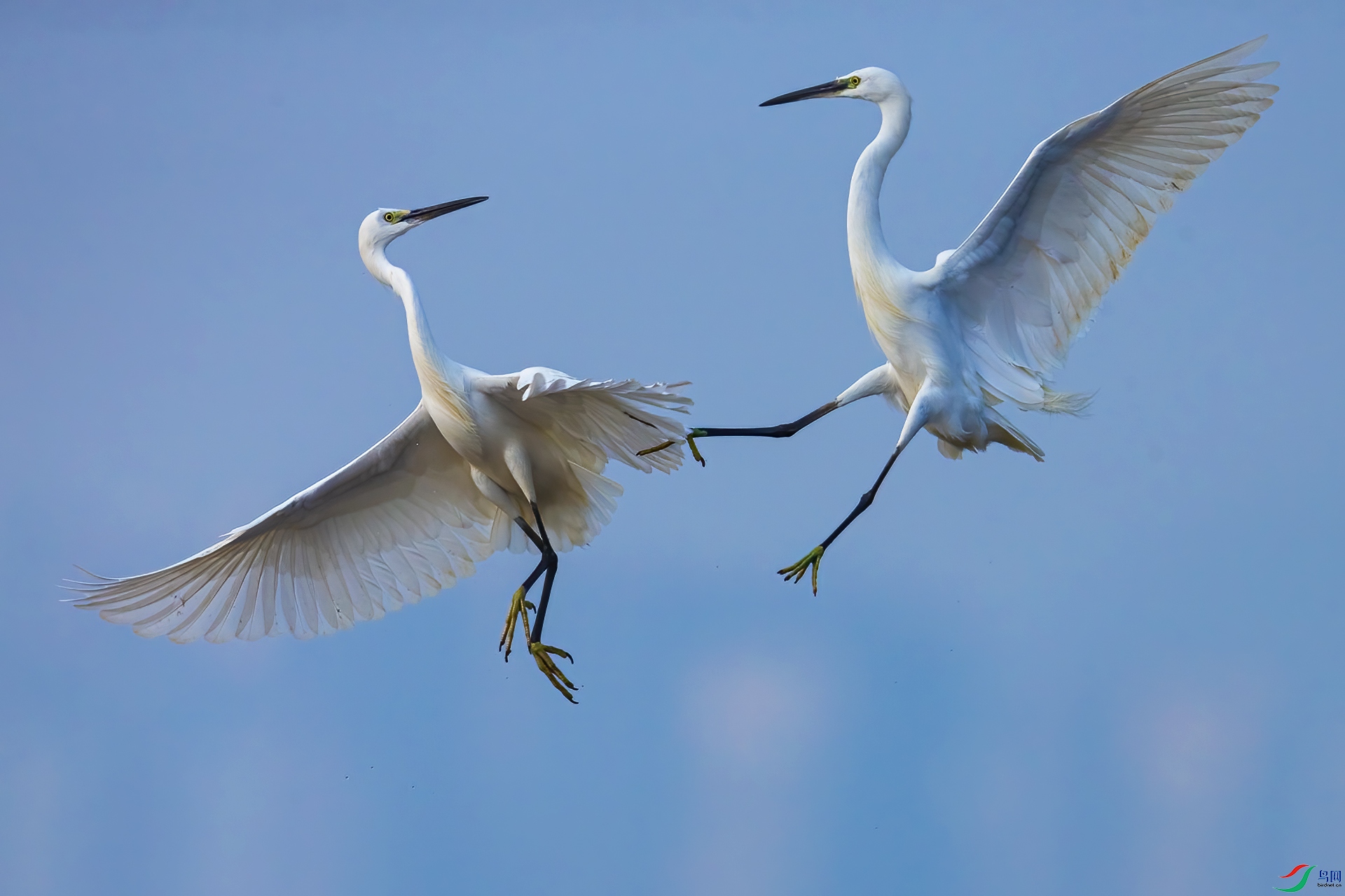 AV2U0218-�༭ ����.jpg