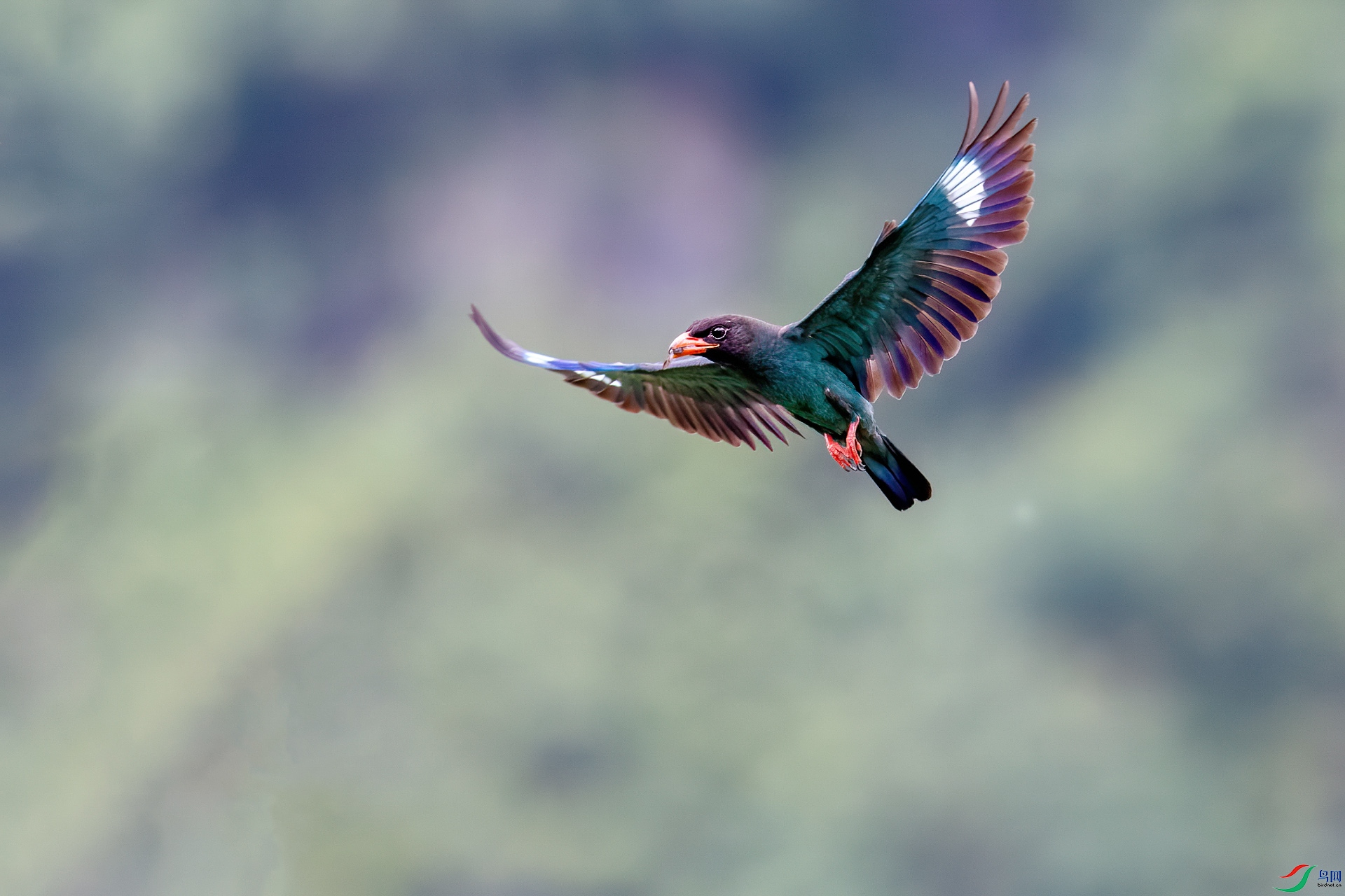 ��Ŀ_20190628_0007-1.jpg