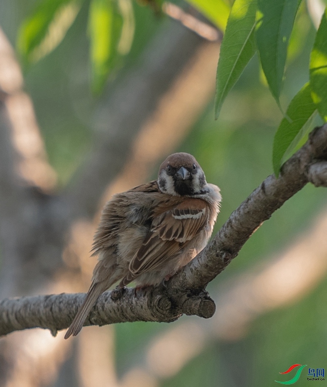 DSC_6775_����.jpg