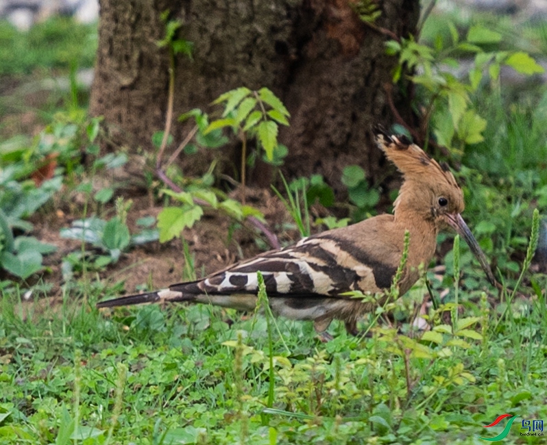 DSC_6876_����.jpg