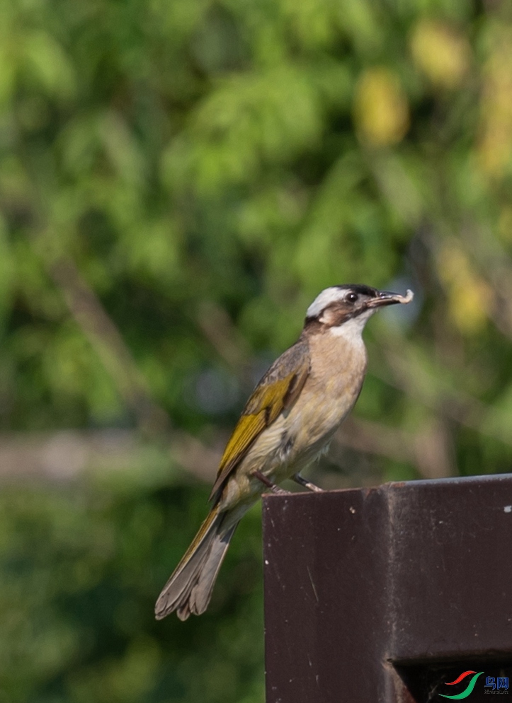 DSC_6657_����.jpg