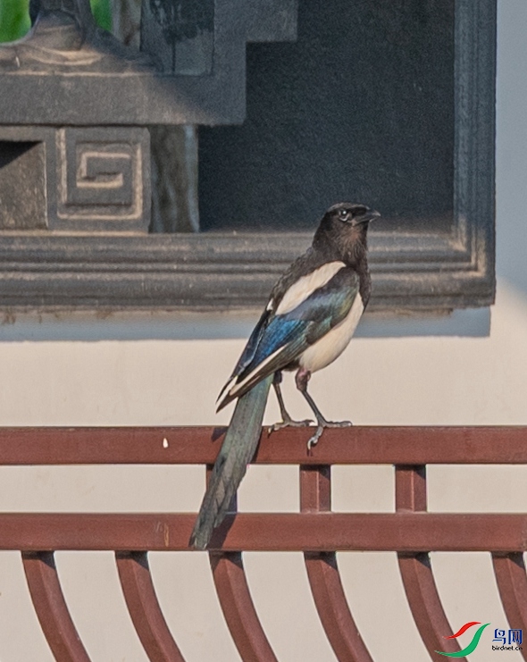 DSC_6792_����.jpg