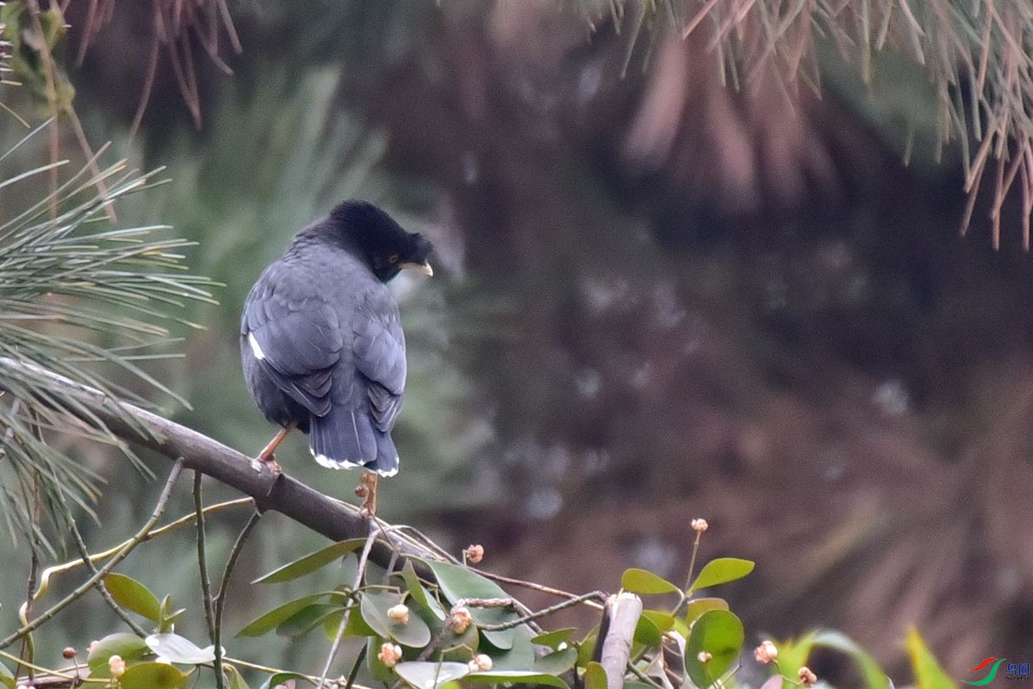 DSC_3186.JPG