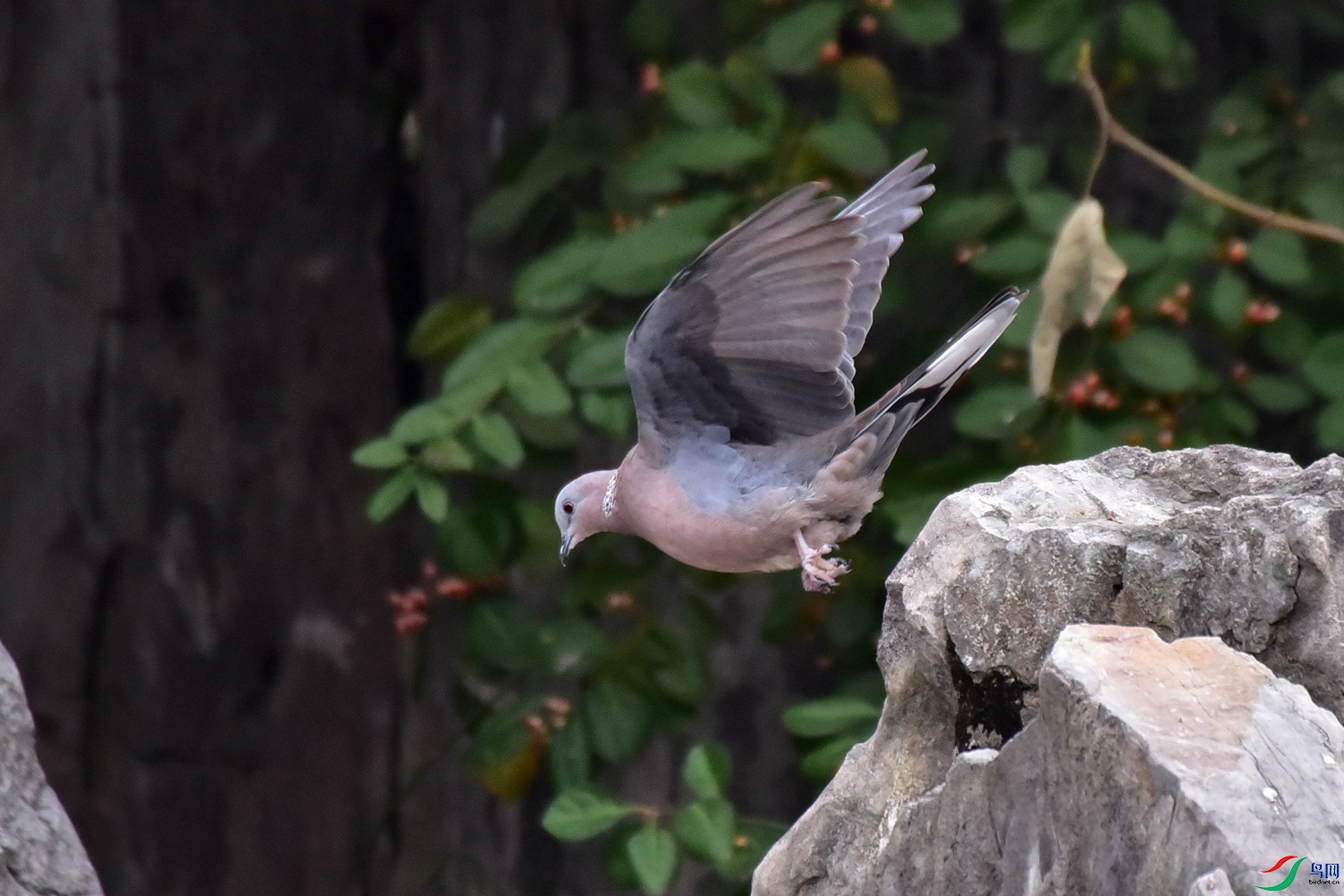DSC_3203.JPG
