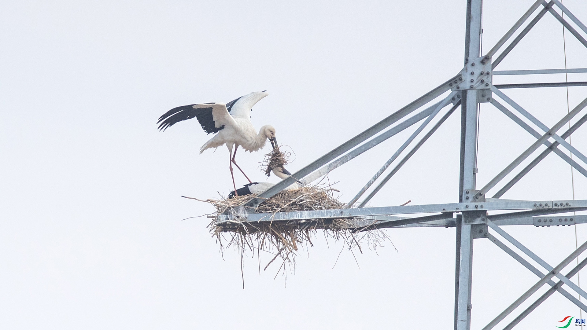 1DX_9952 ����.jpg