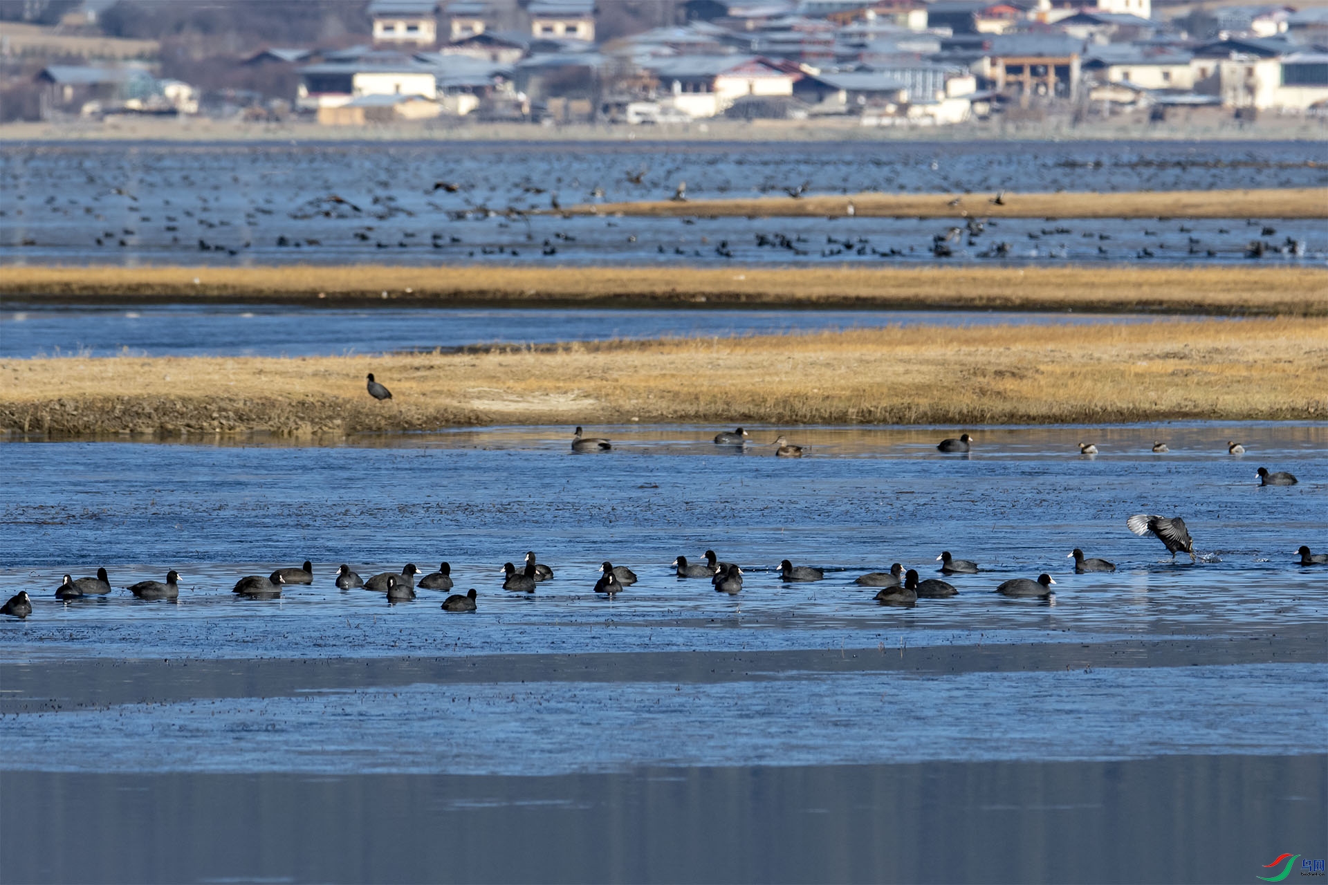 _DSC3848.jpg