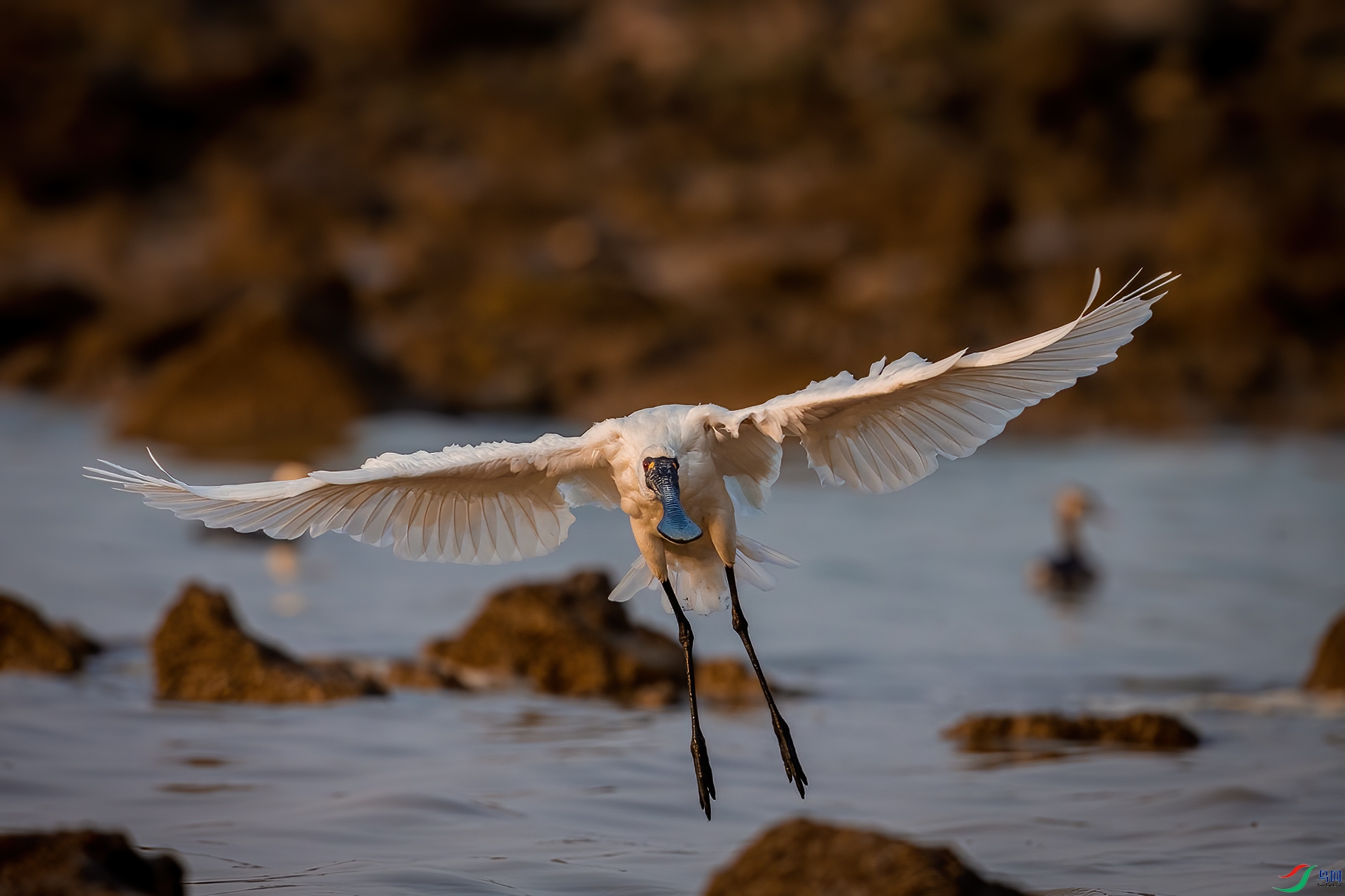 AV2U6078-�༭ ����.jpg