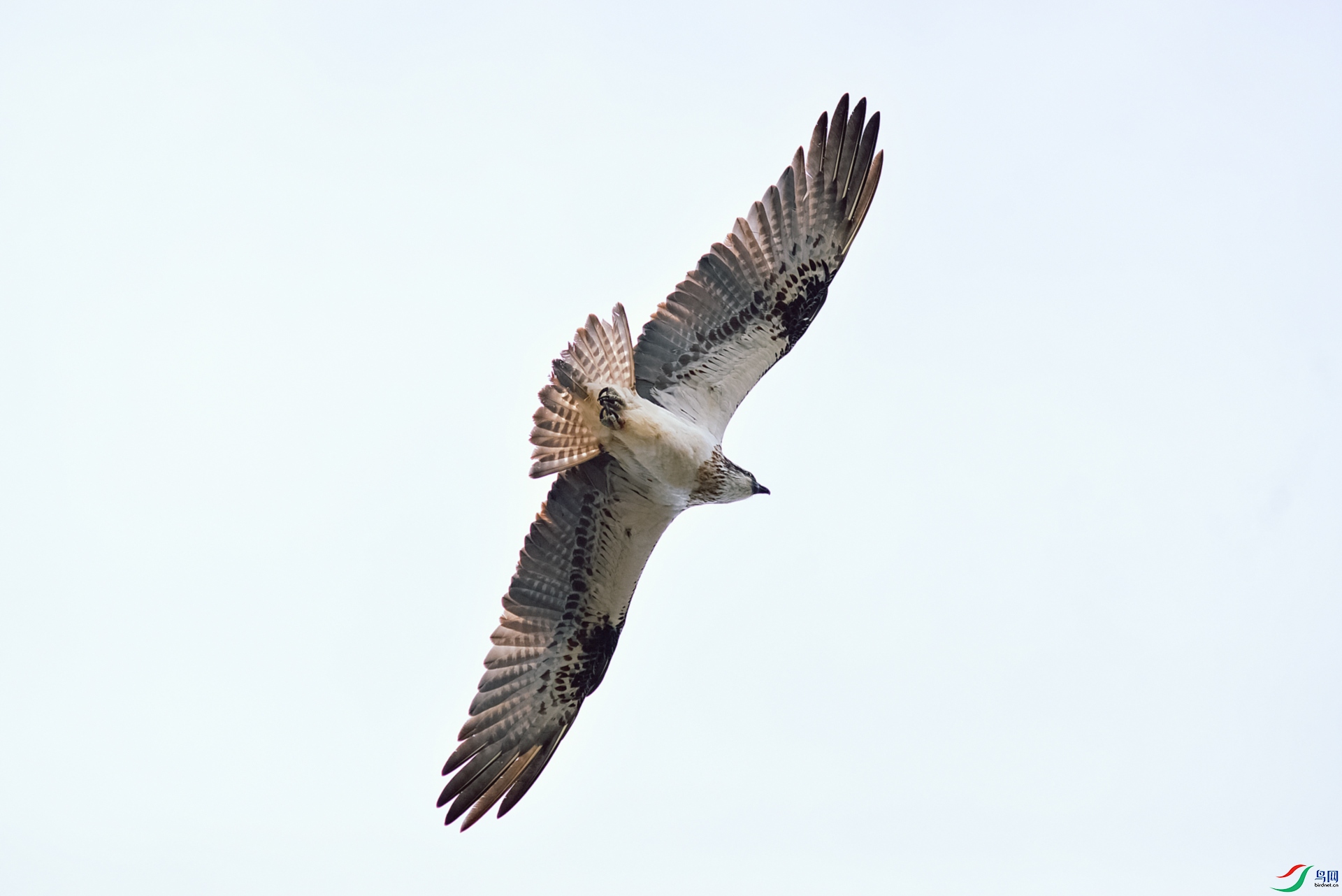 DSC_9766.JPG