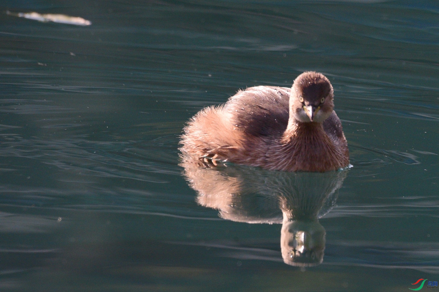 DSC_0581.JPG