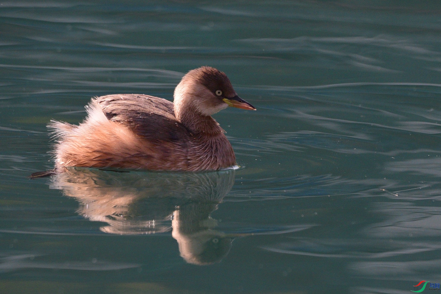 DSC_0582.JPG