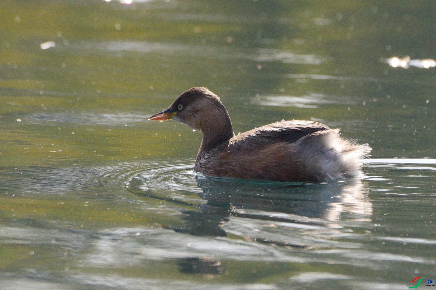 DSC_0591.JPG