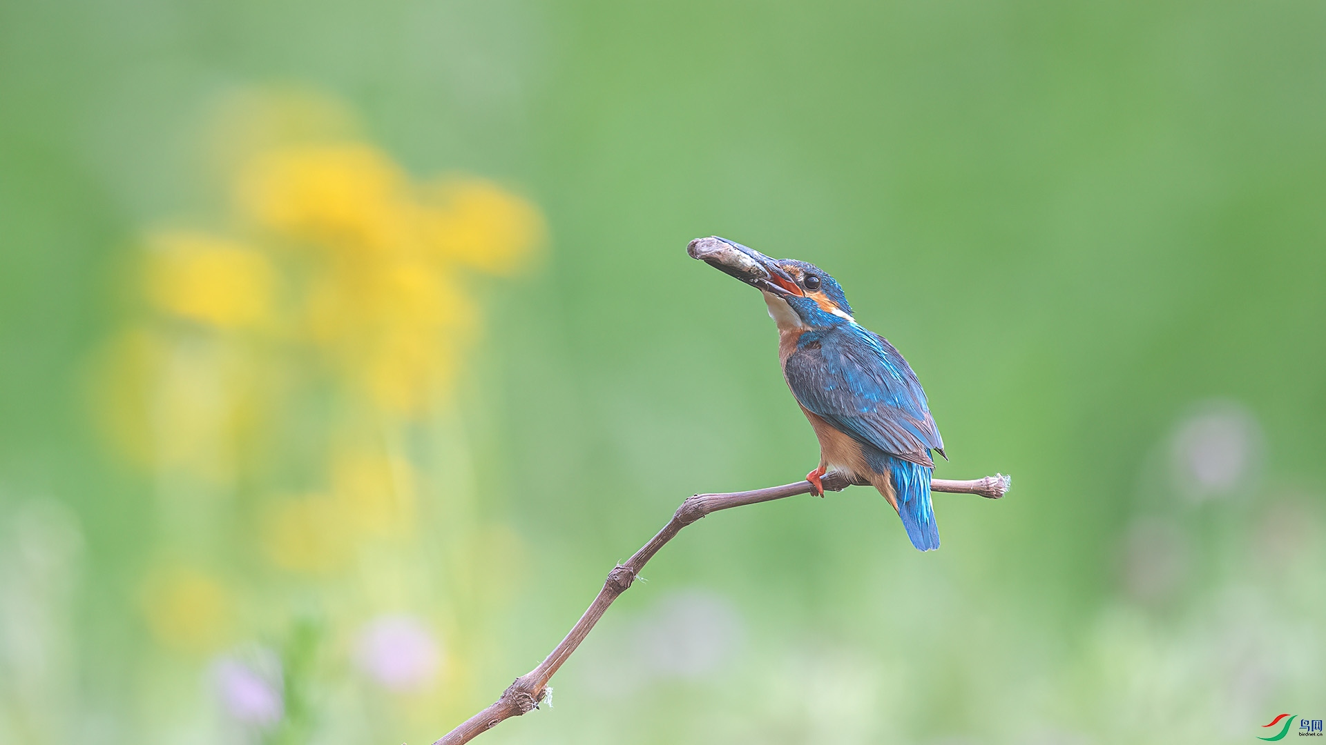 1DX_7327 ����.jpg