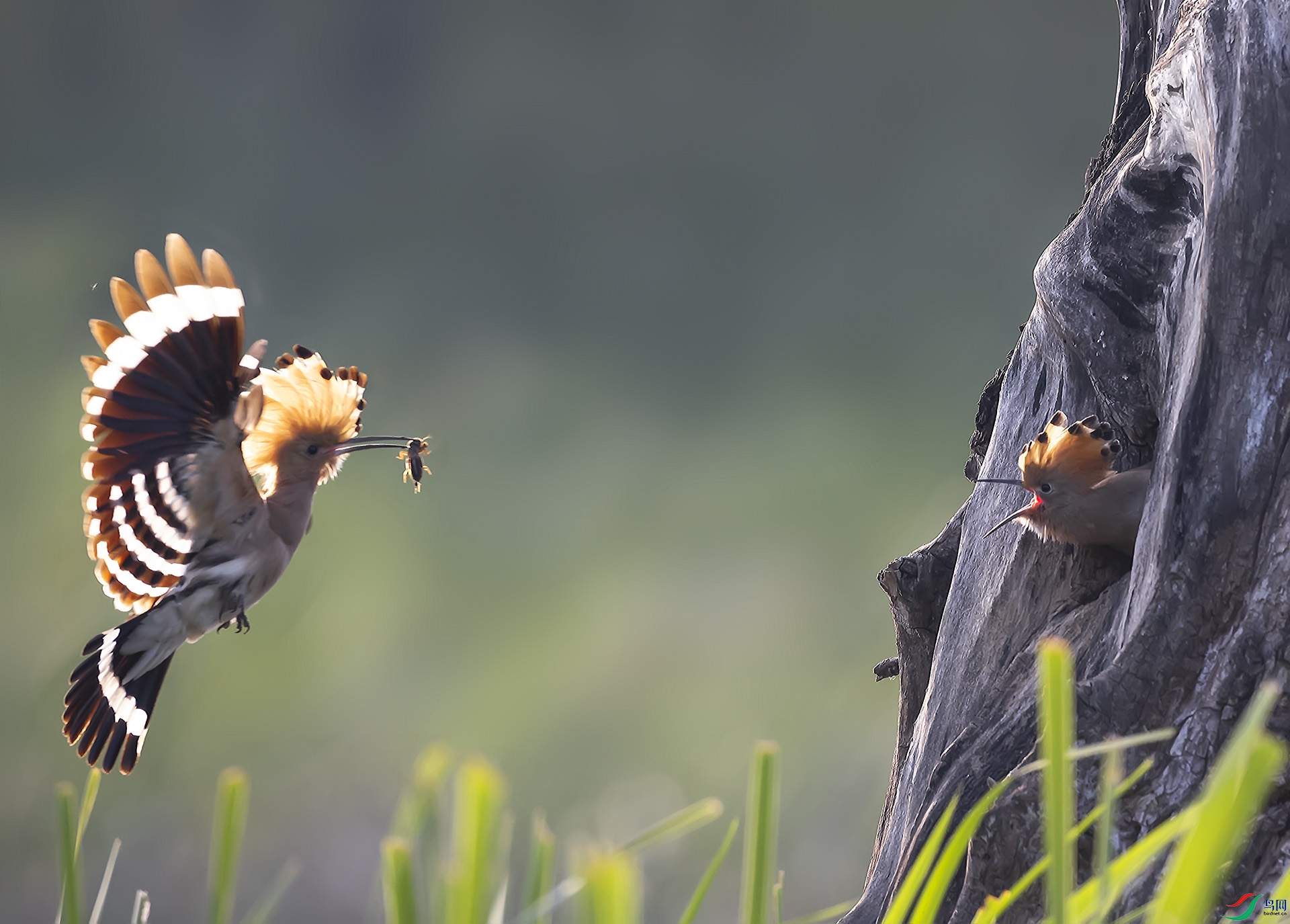 019A4510 ����.jpg