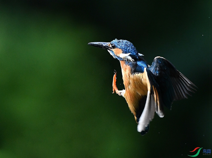 DSC_7757.JPG