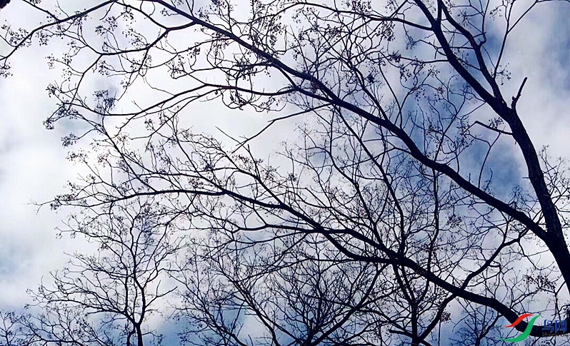 ΢��ͼƬ_20220617164338.jpg