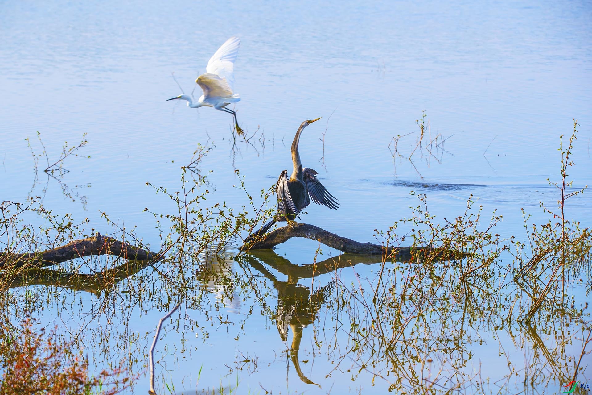 ��������