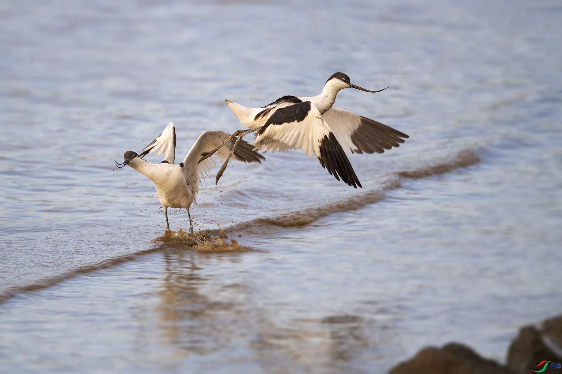 DSC_2985 ����.jpg