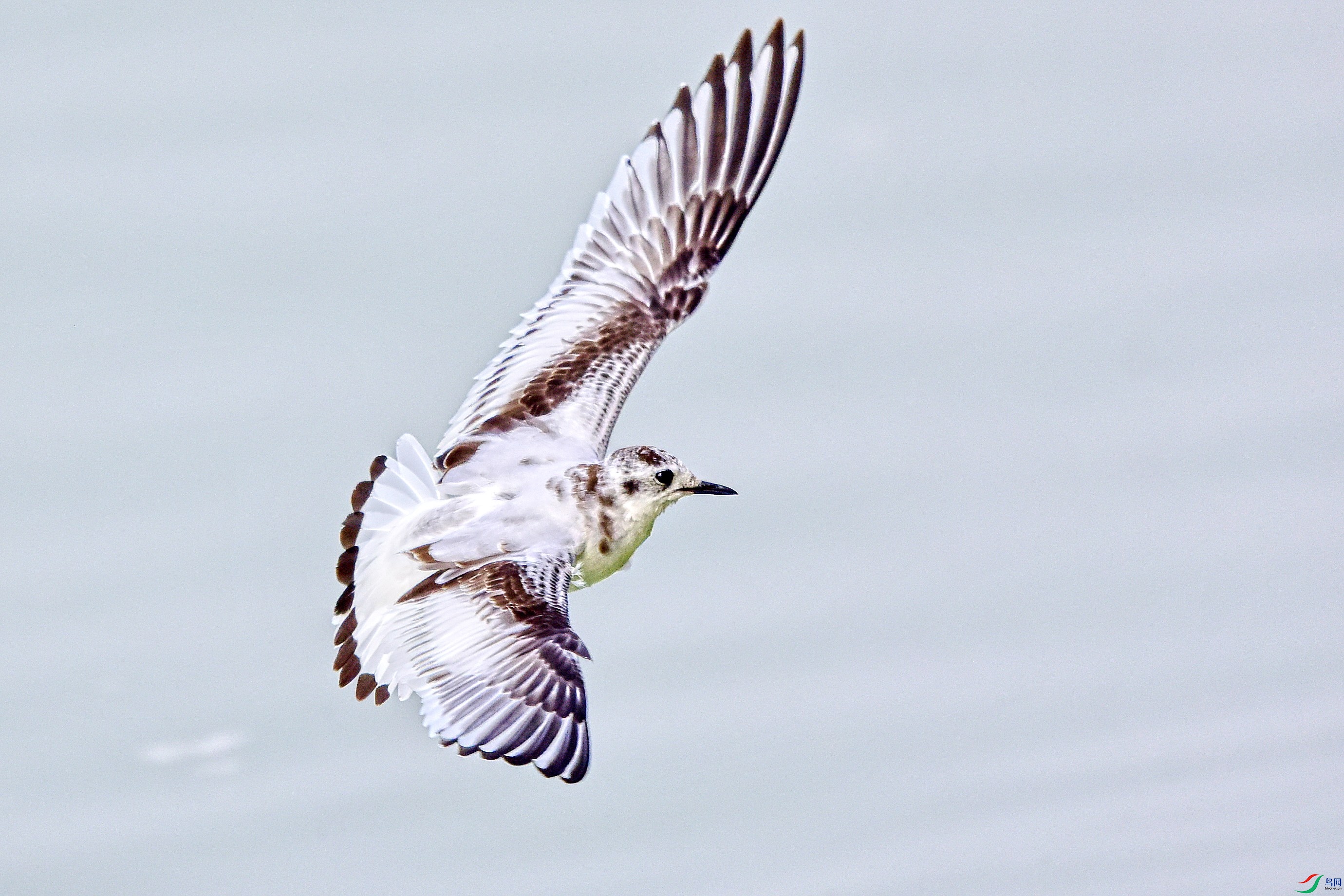 DSC_3639_conew3.jpg