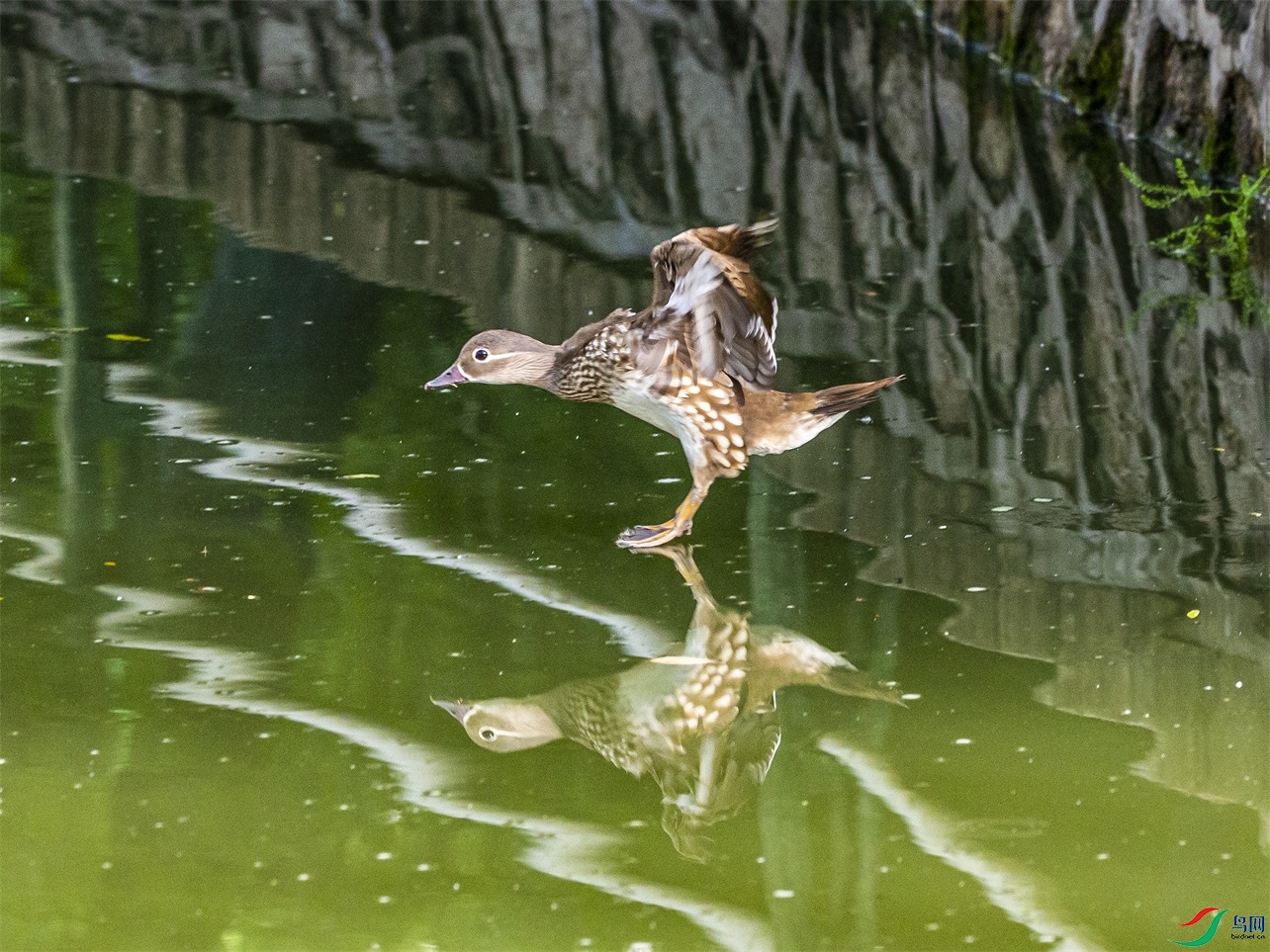 DK7T0227 ����1.jpg