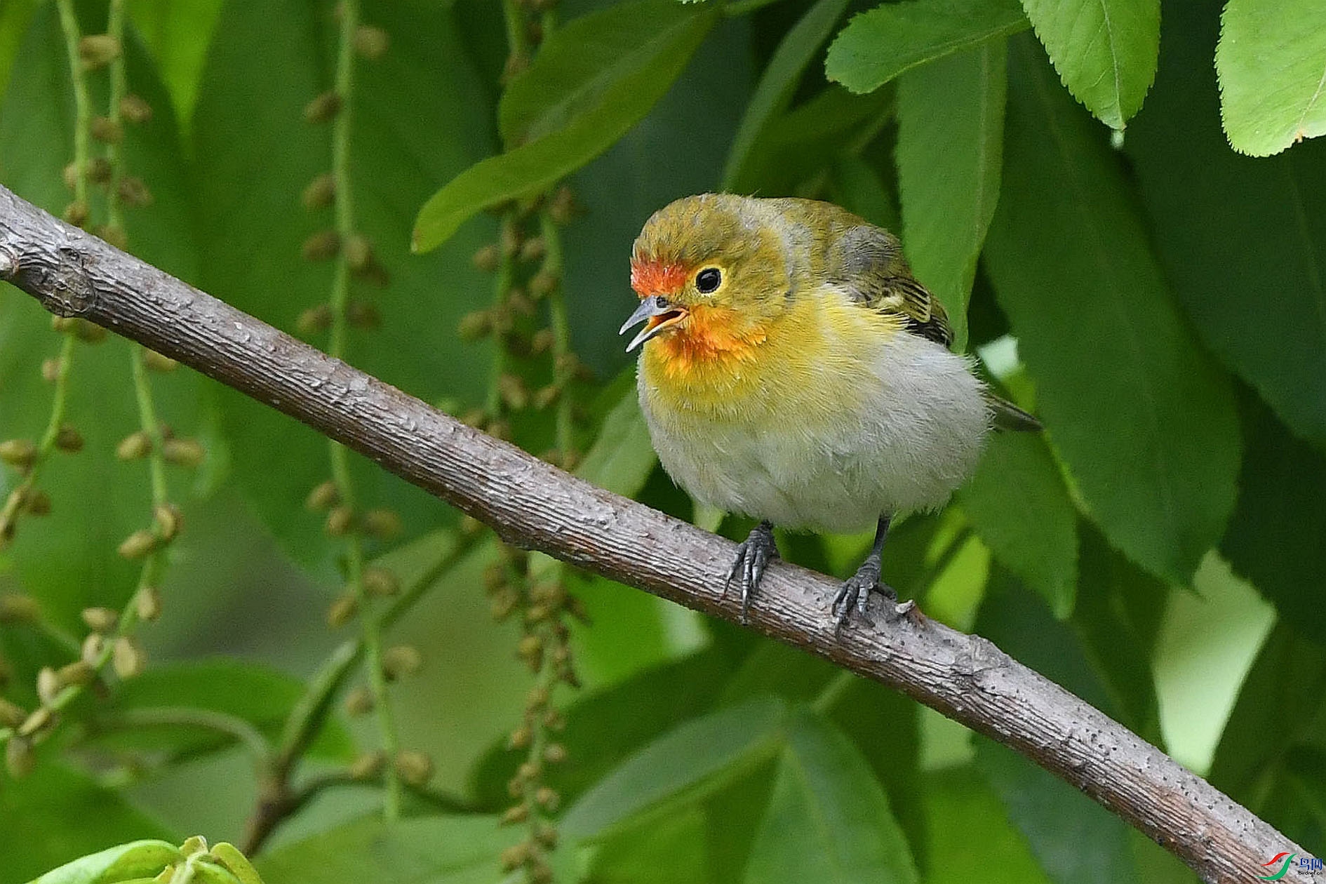 DSC_5768_����.jpg