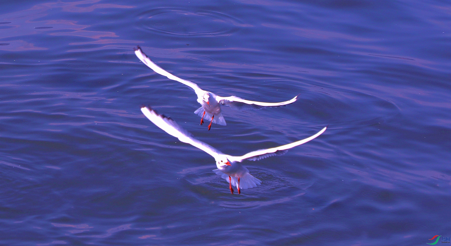 ���·���