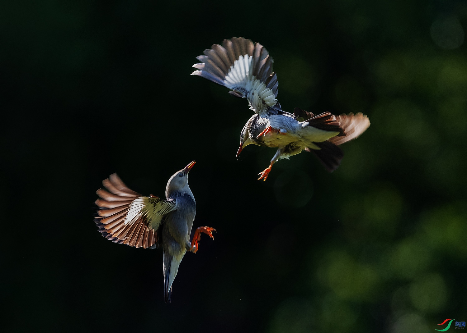DSC_3136-1.jpg