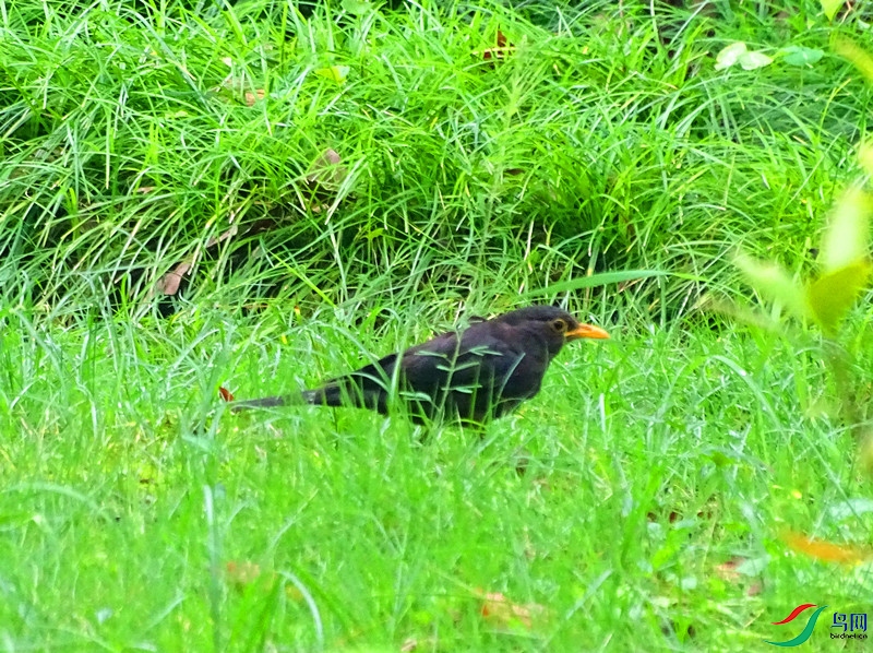 DSC02095.JPG