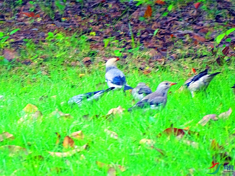 DSC02107.JPG