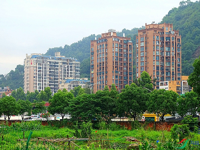 DSC02117.JPG