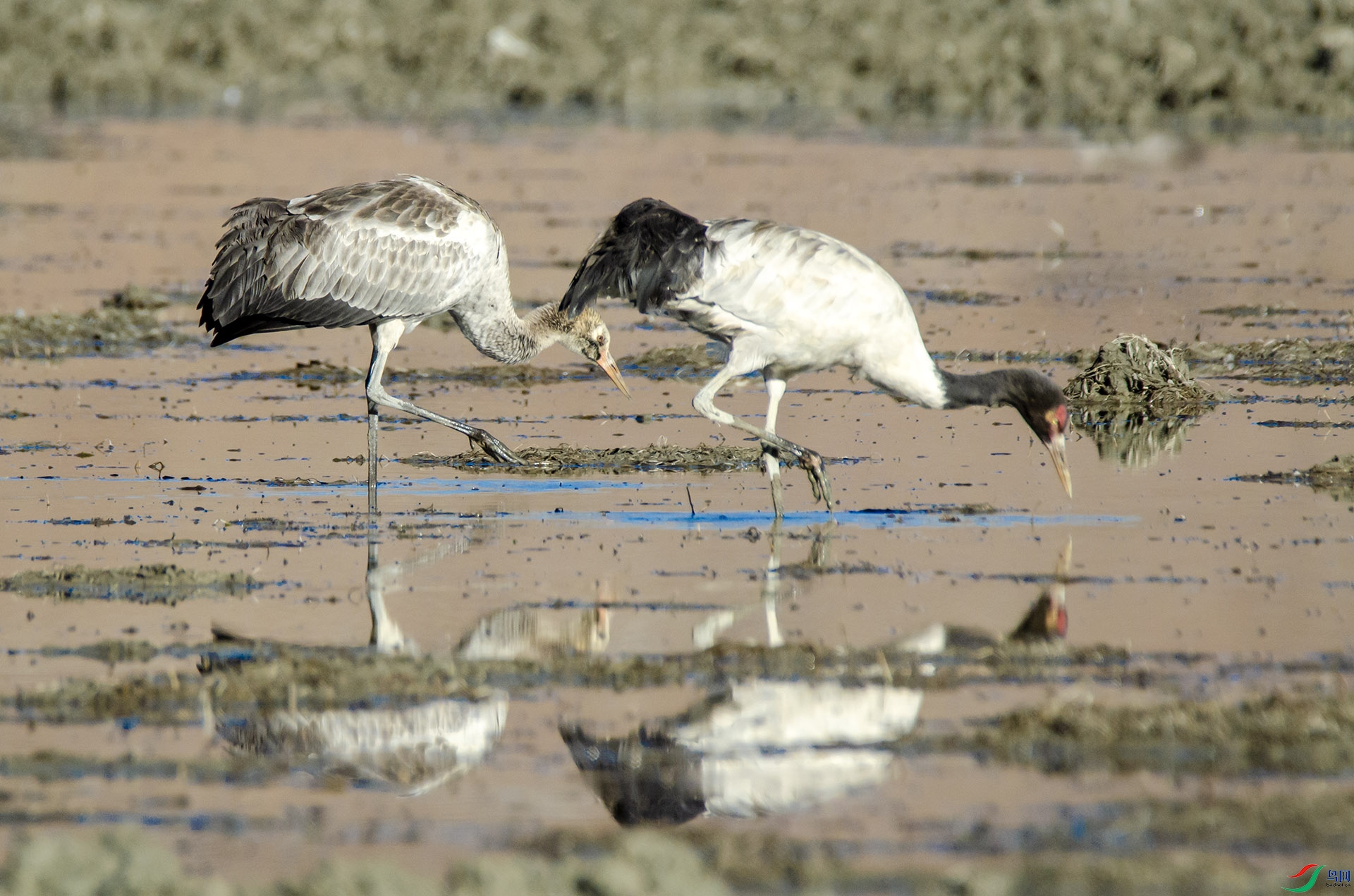 DSC_5035.jpg