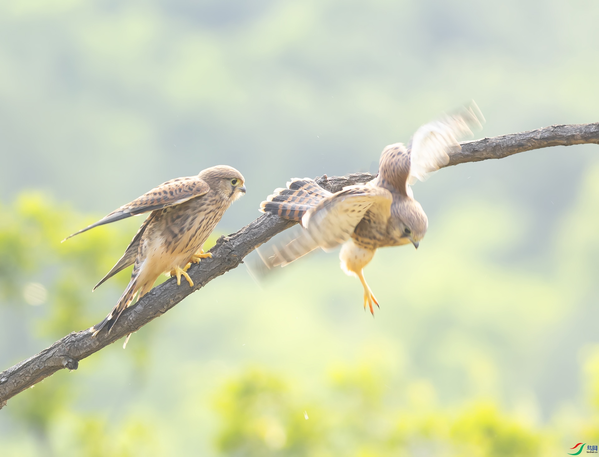 019A5274 ����.jpg