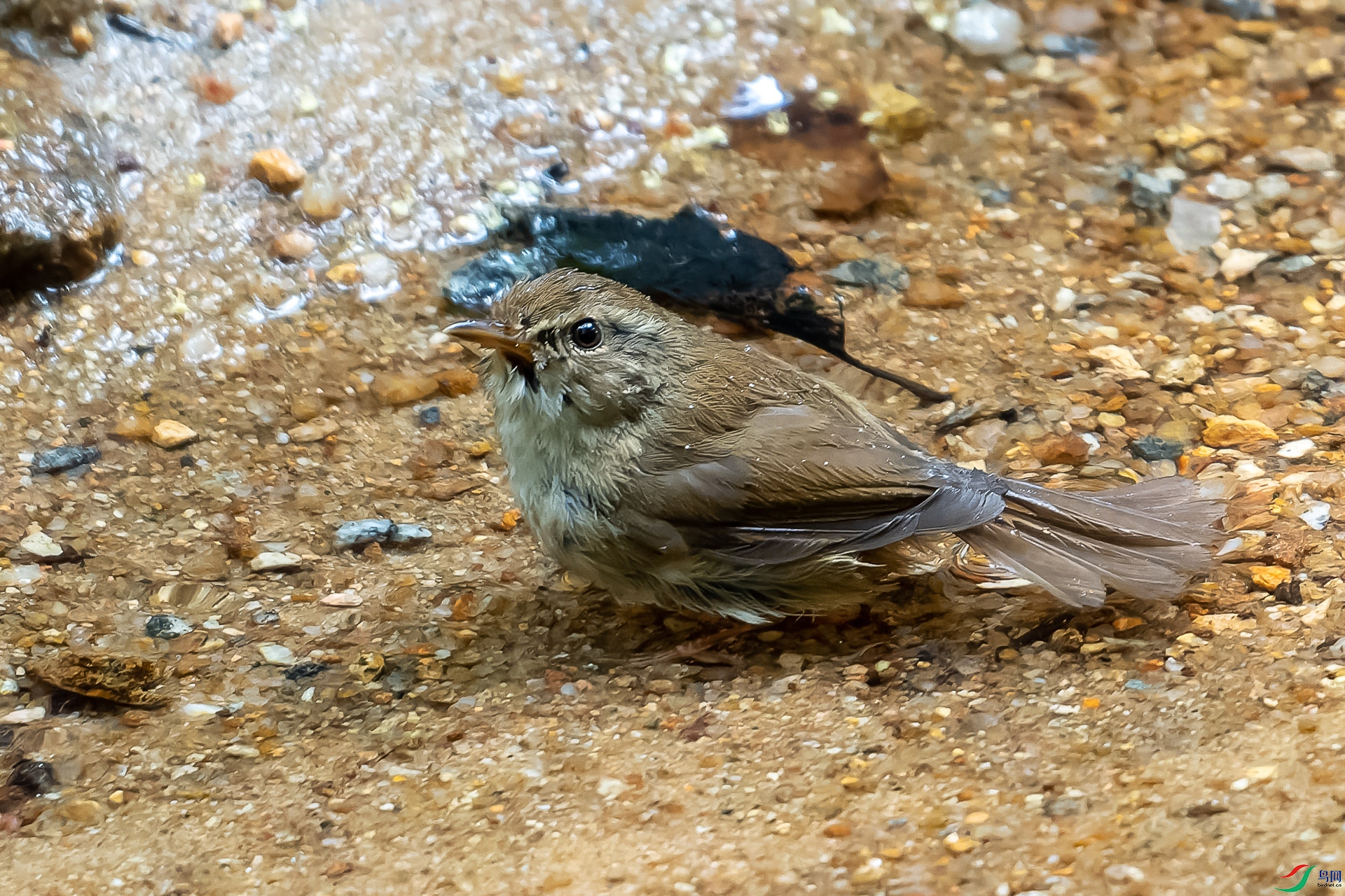 DSC08652-ARW_DxO_DeepPRIME-1-2.jpg