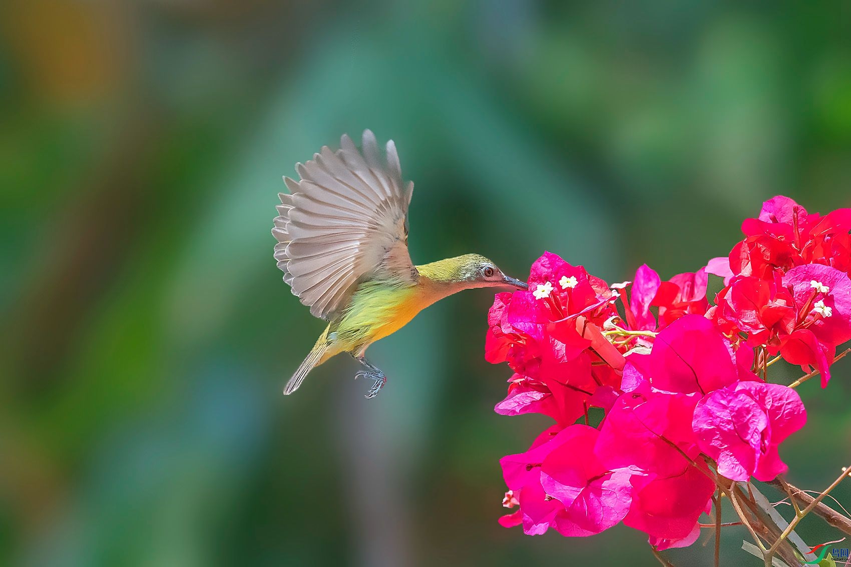 DSC_9407.jpg