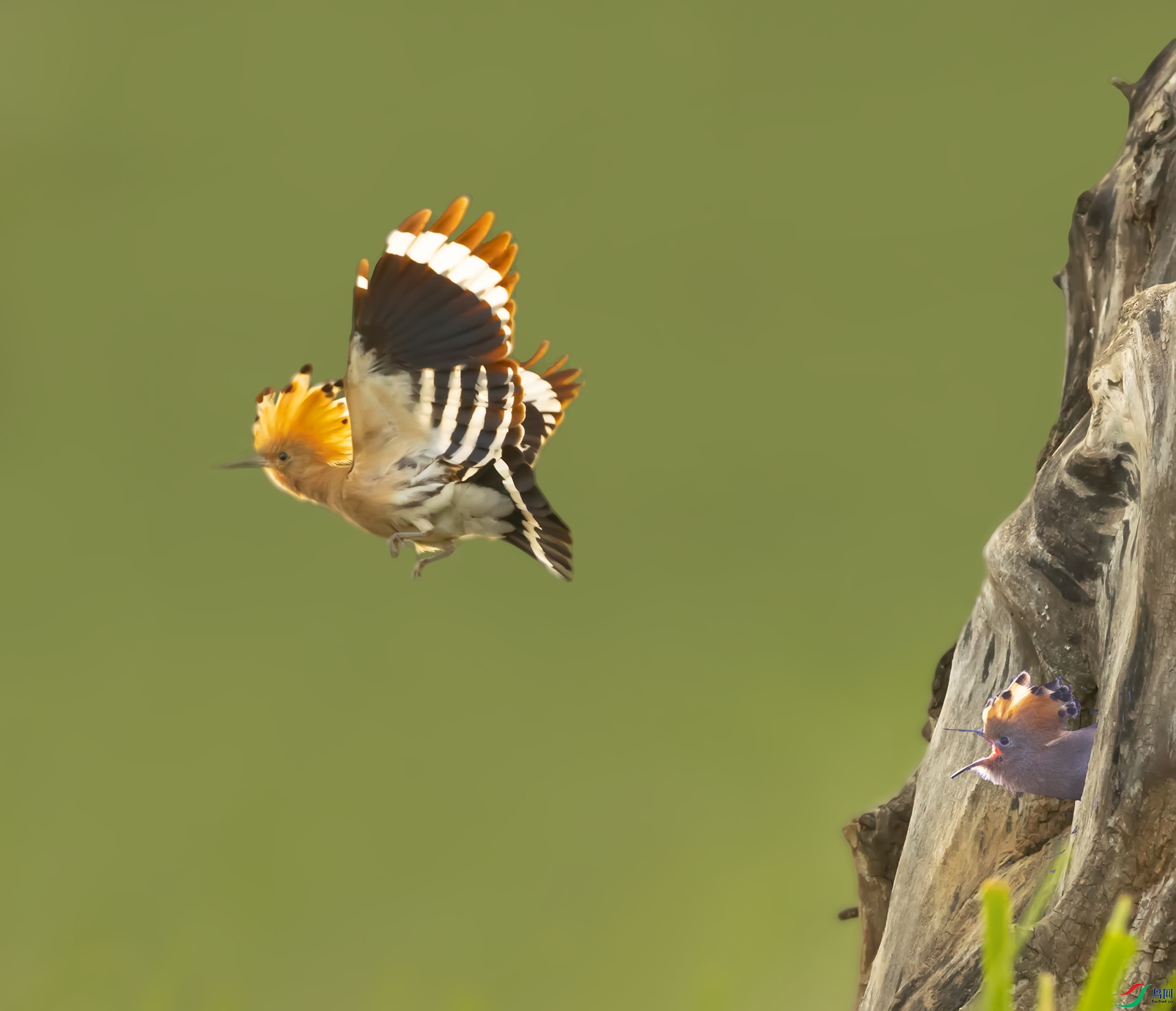 019A5052 ����.jpg