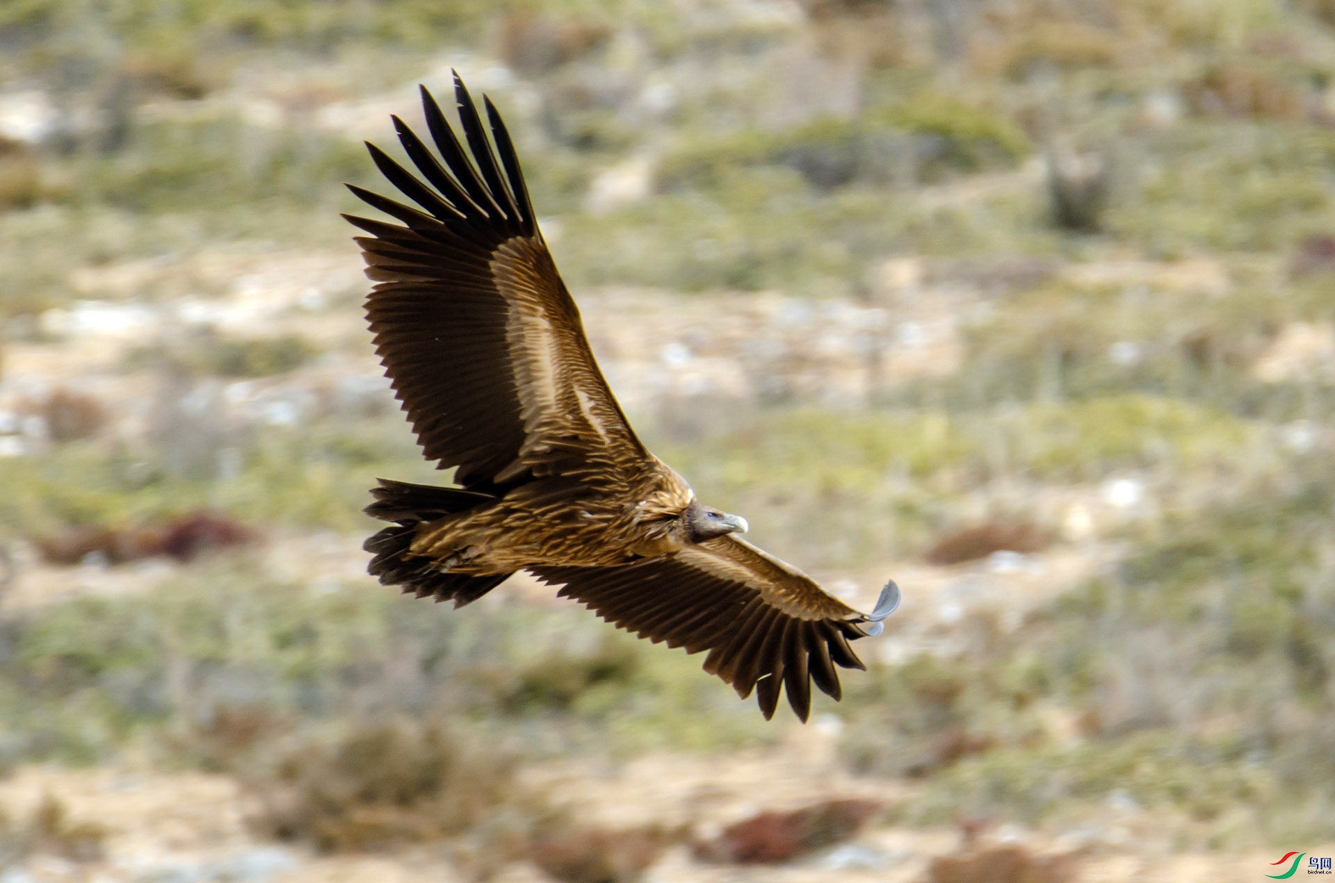DSC_1809.jpg