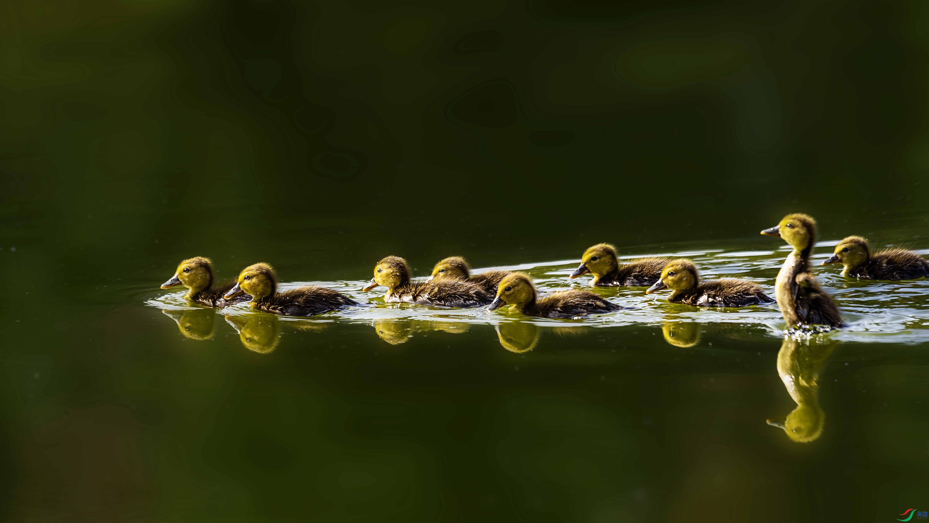 278A96492 ����.jpg