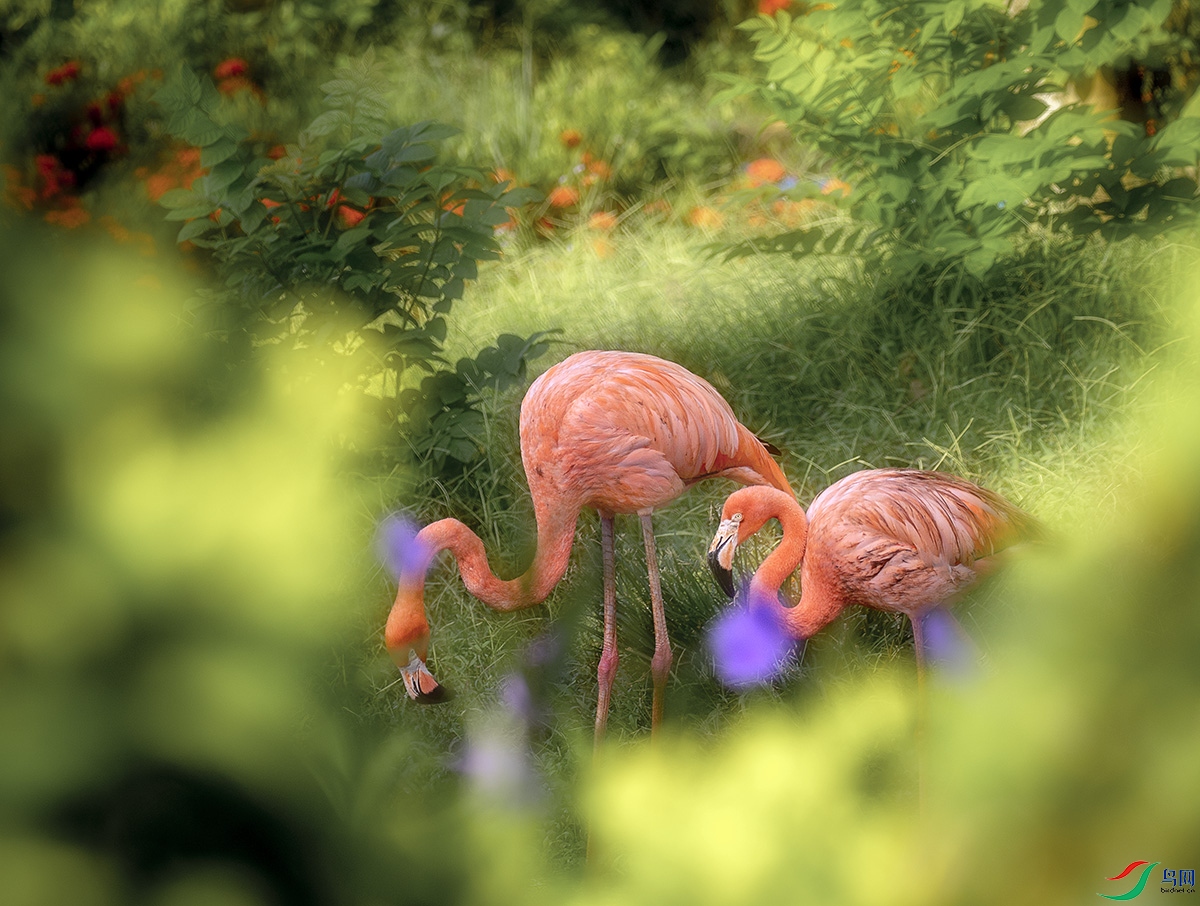 IMG_9110  �ĻᣨС���أ�.jpg