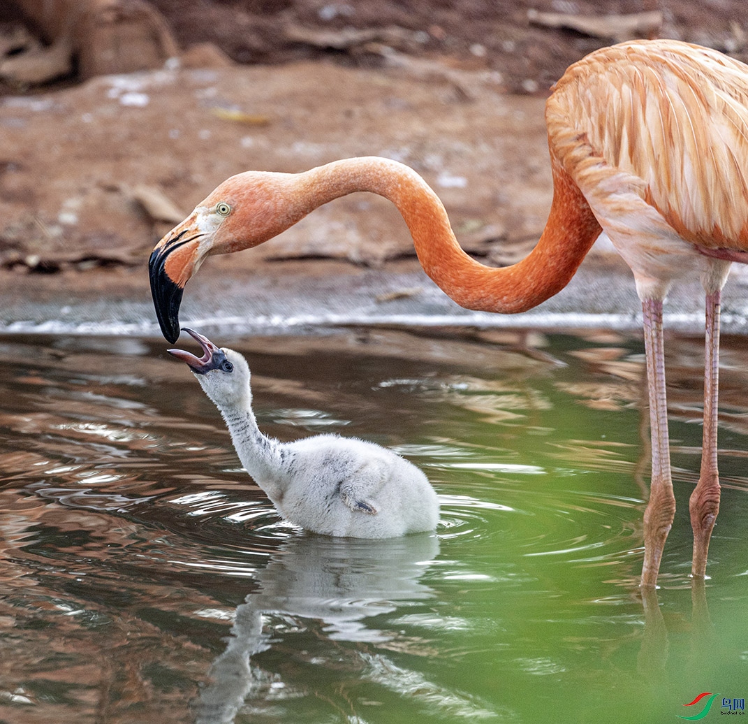 IMG_8902  ������������С���أ�.jpg