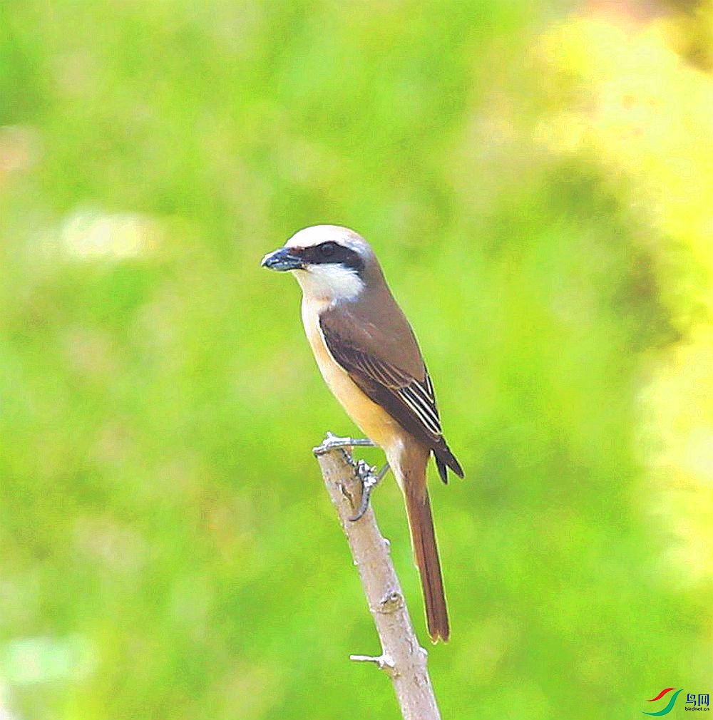 AK2Y9881_1000_2.jpg