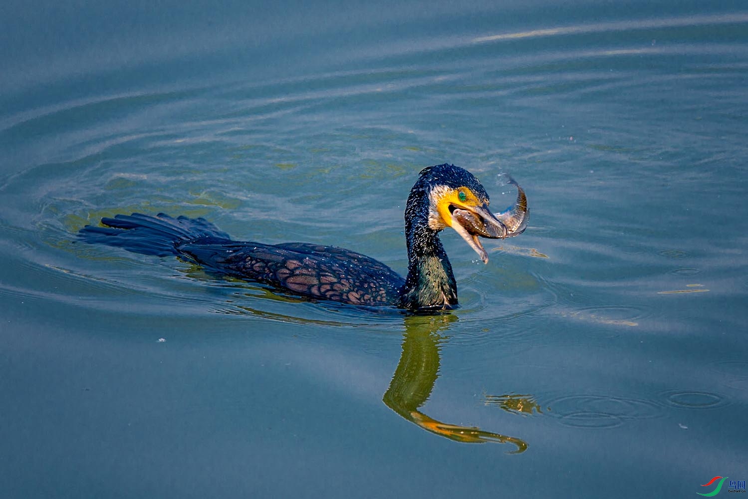 _DSC1726 (2).jpg--1500.jpg