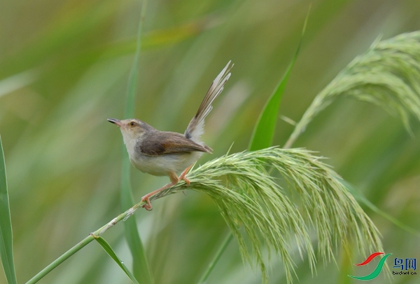 ������έݺ (5).JPG