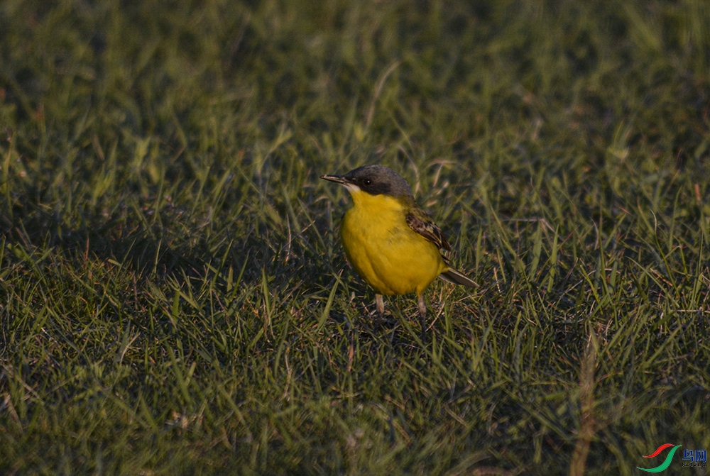 _DSC3995 ����.jpg