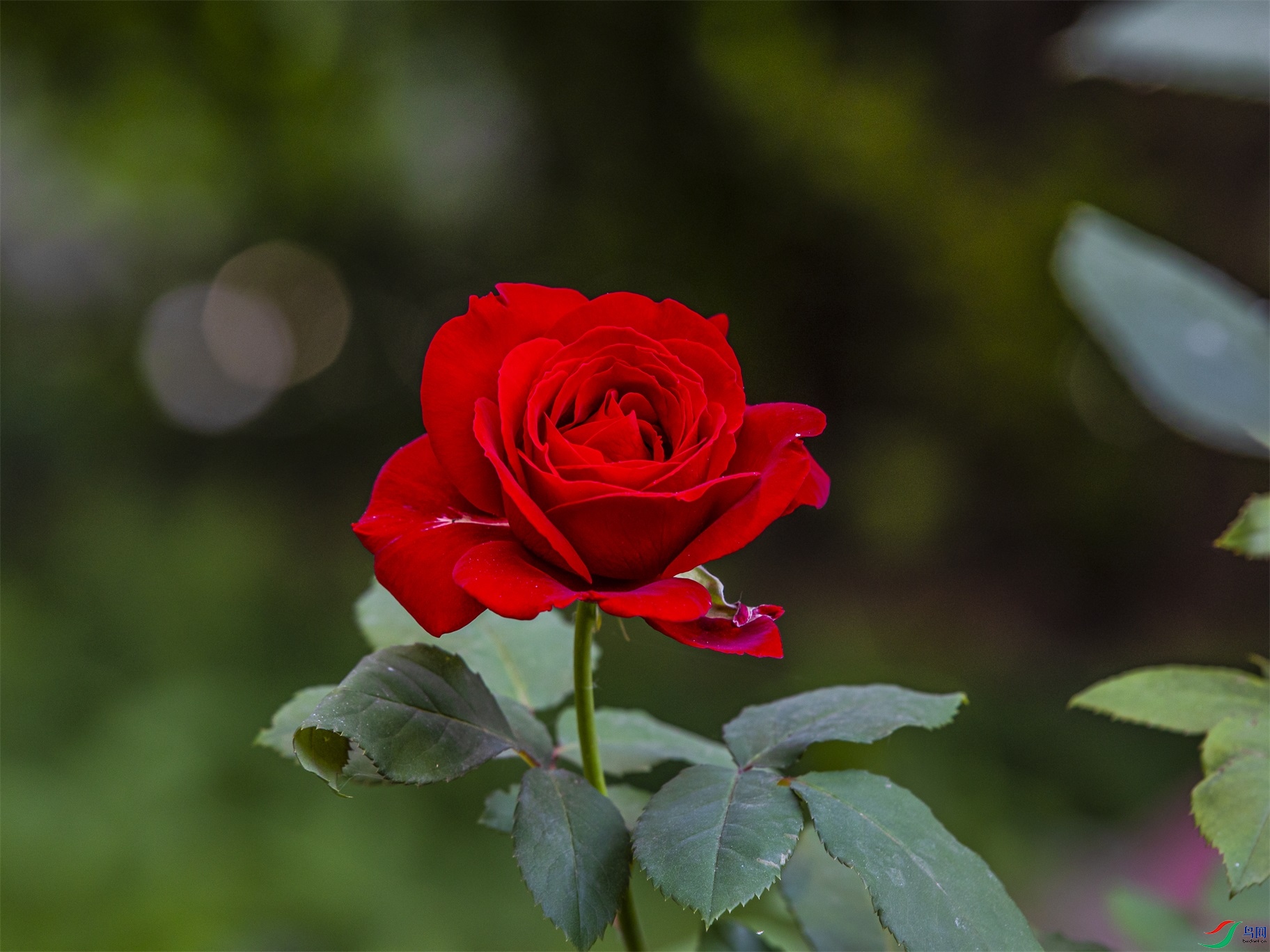 011 ����1.jpg