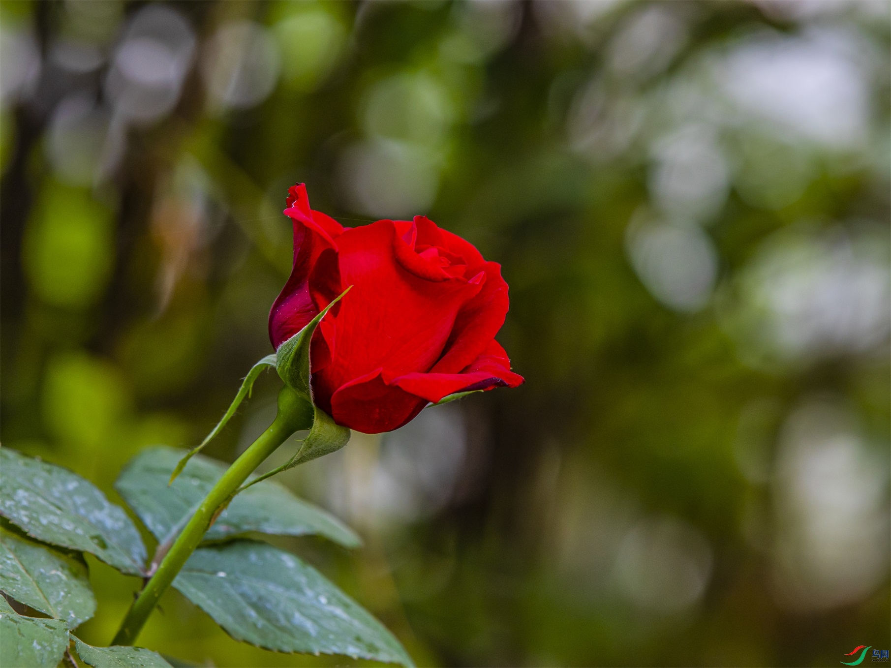 013 ����1.jpg