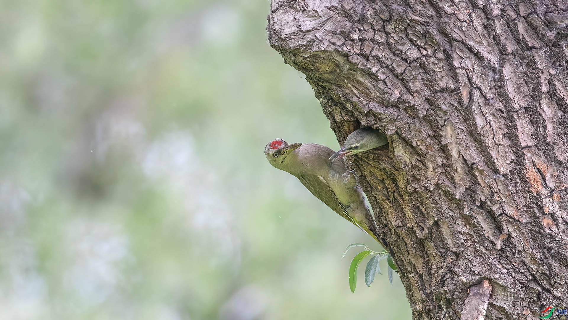 1DX_8142 ����.jpg