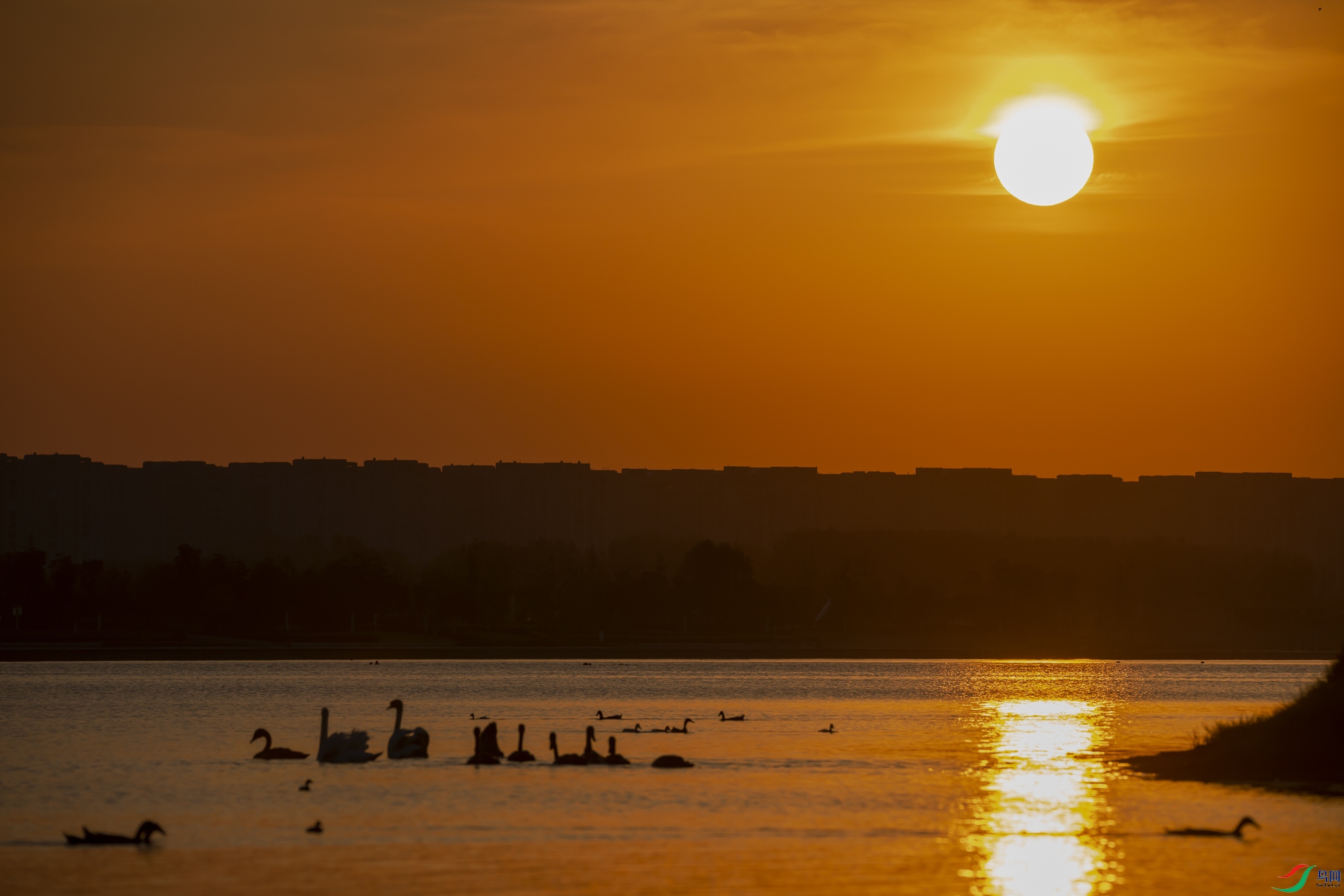 DSC_0297.jpg