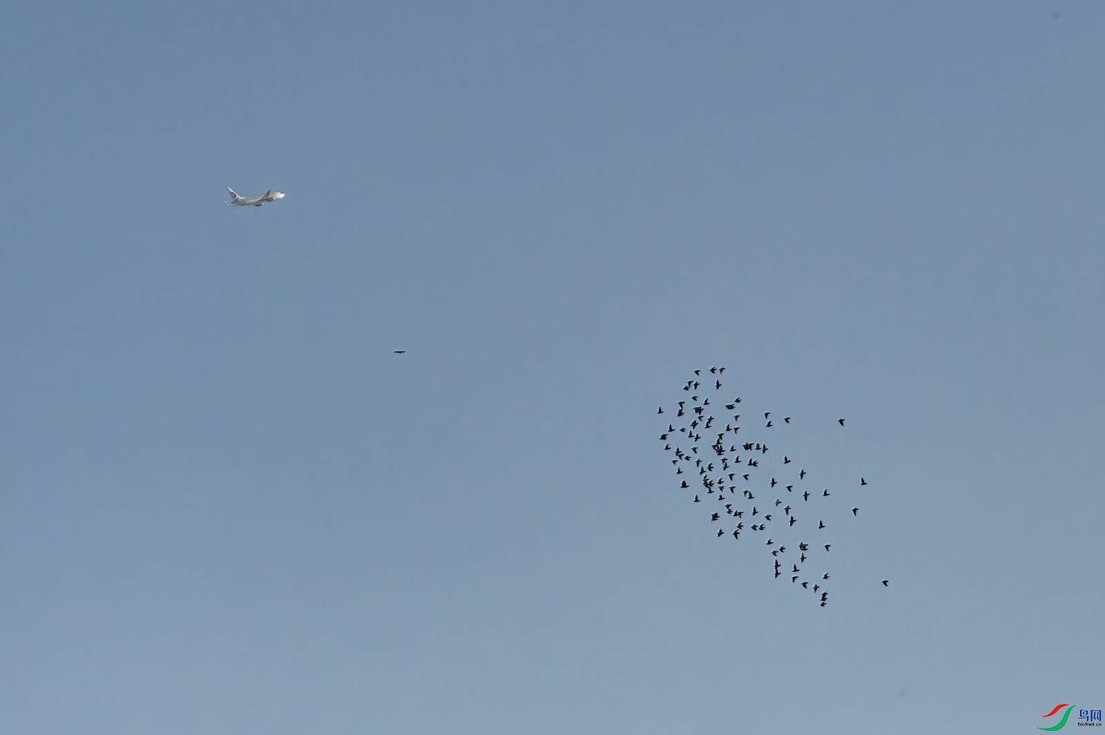 DSC_6523.jpg